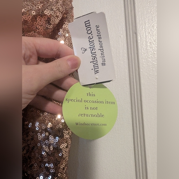 2 FOR $50 // Windsor S Rose Gold Mini Dress - Picture 2 of 4